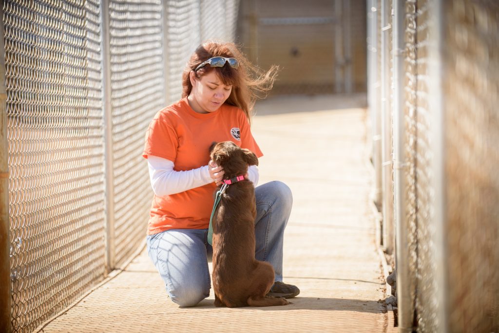 Photo of volunteer and pet at the shelter