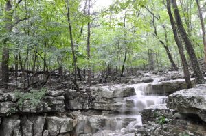 A picturesque stream flows over rocks at Blevins Gap Nature Preserve