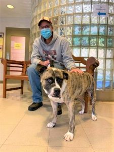 A man in a gray sweatshirt holds a dog on a leash in the lobby of Huntsville Animal Services.