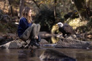 A woman sit on a rock in a creek across from a bald eagle, also sitting on a rock.
