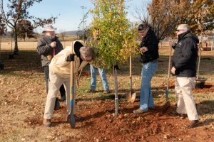 Mayor Tommy Battle and Landscape Management team plant a tree.