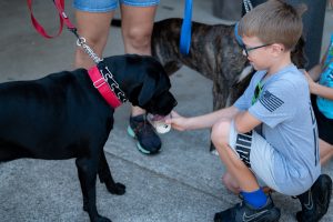 A black dog licks a pup cup held by a young boy.