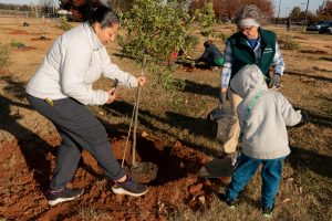 A woman and her son plant a tree in John Hunt Park.
