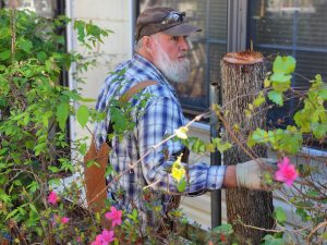 A man assists with home repairs amidst flowers and thorns.