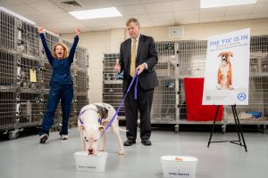 Dr. Karen Sheppard cheers as Cosmo picks "Early Spring" on Ground Dog Day 2023. His leash is held by Mayor Tommy Battle.