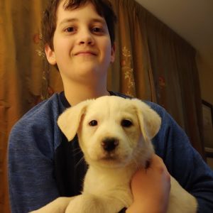 A young boy holds a foster puppy in his arms.