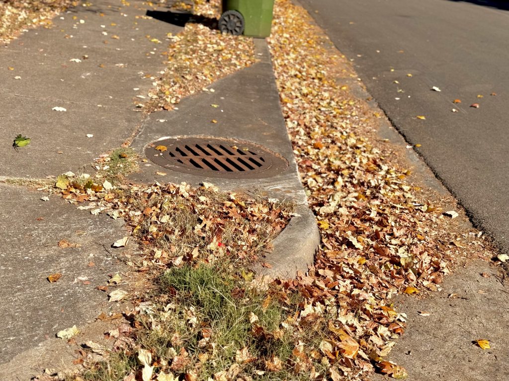 A bunch of red, yellow and brown leaves sit against a storm drain near a home in historic downtown Huntsville.