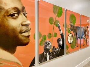 Four panels of an 11-panel art installation on the sixth floor of City Hall. Images include a cotton plant, Kennedy and a cow.