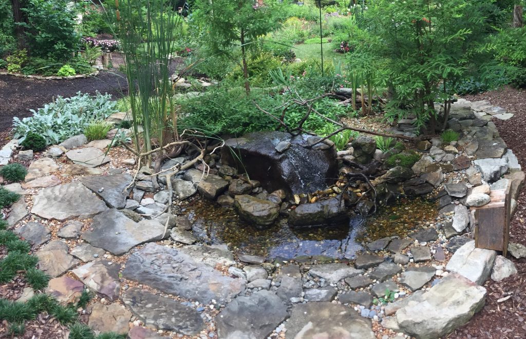a rock water feature in garden with green grass and shrubbery around it