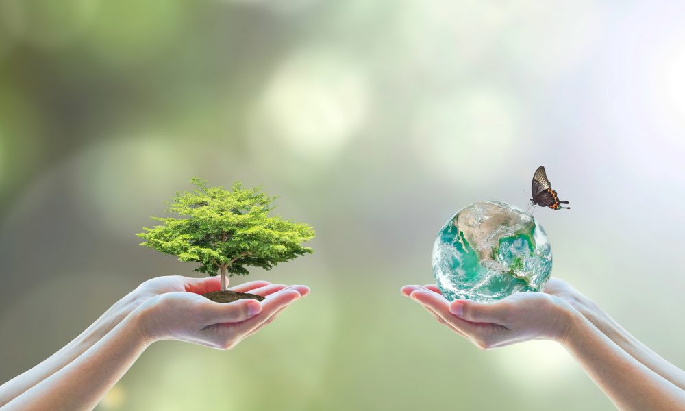 9 reasons to celebrate Earth Day with Operation Green Team