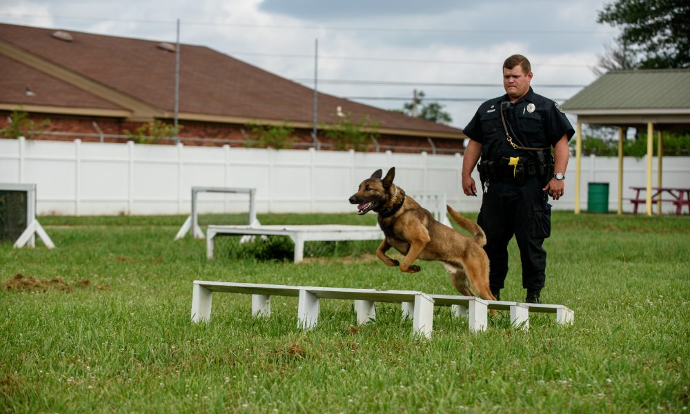 Meet the top dog (and his partner) in Huntsville’s K-9 unit