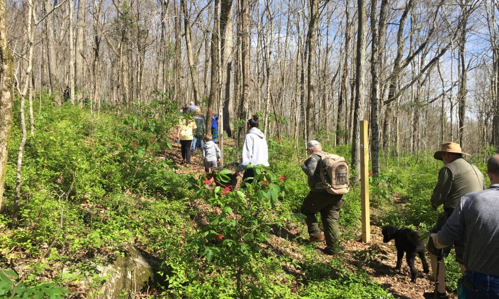 Preservation Partnership: Land Trust to open new trails, create more connectivity
